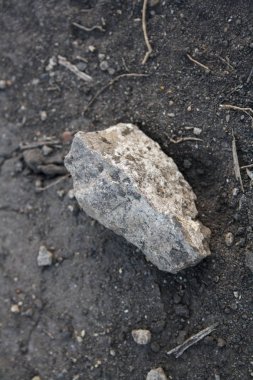 Yeryüzünde bir taş