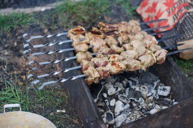 Domuz eti şiş üzerinde Barbekü ızgarada pişirilir. Piknik sokak.