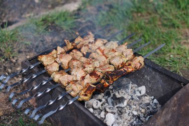 Domuz eti şiş üzerinde Barbekü ızgarada pişirilir. Piknik sokak.