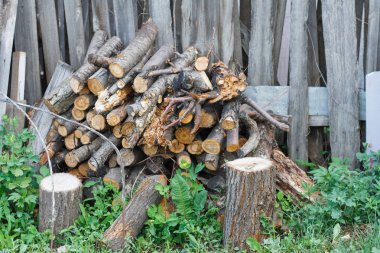Yakacak odun amaçlanan çit yakınındaki yalan Makinası.