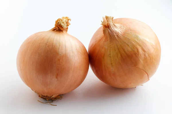 Duas cebolas verduras em um fundo branco — Fotografia de Stock
