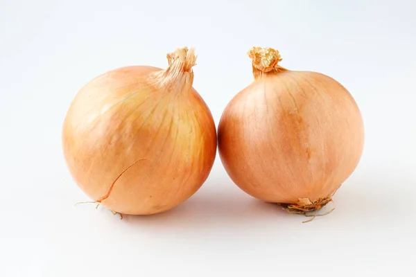 Duas cebolas verduras em um fundo branco — Fotografia de Stock