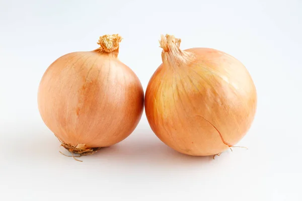 Duas cebolas verduras em um fundo branco — Fotografia de Stock