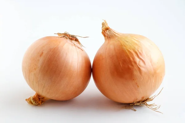 Duas cebolas verduras em um fundo branco — Fotografia de Stock