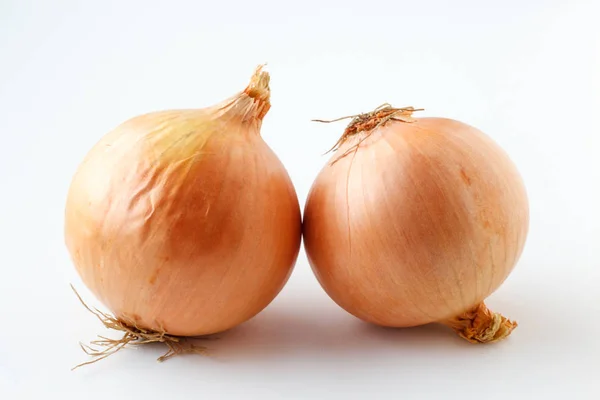 Duas cebolas verduras em um fundo branco — Fotografia de Stock