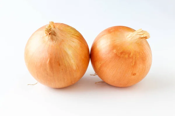 Duas cebolas verduras em um fundo branco — Fotografia de Stock
