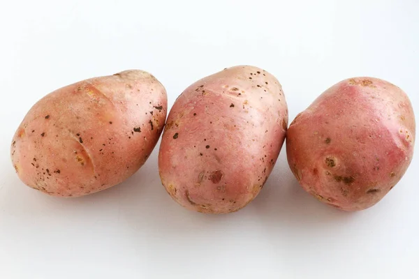 Много грязной картошки на белом фоне. Картофель разбросан на белом фоне . — стоковое фото