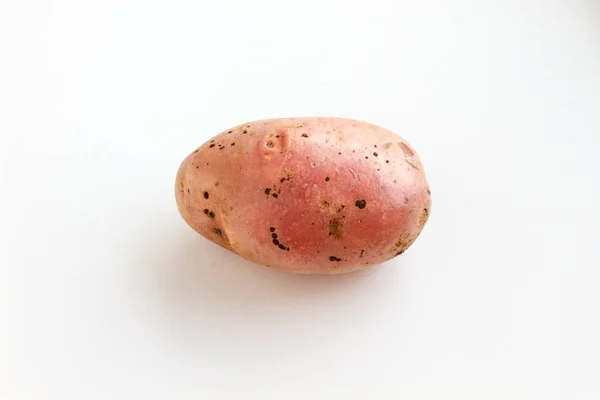 Muitas batatas sujas num fundo branco. Batatas espalhadas em um fundo branco . — Fotografia de Stock