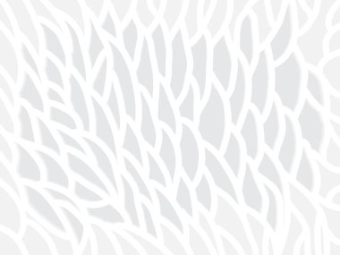 soyut beyaz çizgiler