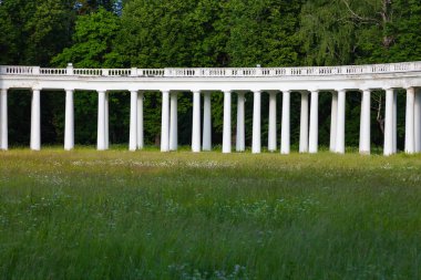 Tver bölgesinde (Rusya), yeşil bir ormanın arka planında harap olmuş eski bir malikanenin sütunları.