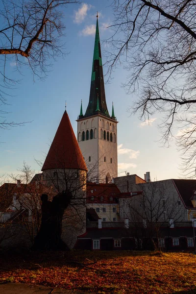 View City Wall Tallinn Estonia — 스톡 사진