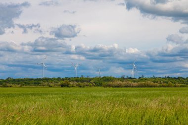 Olgunlaşmamış buğday tarlalarının arkasında çeşitli rüzgar tarlaları görülebilir.