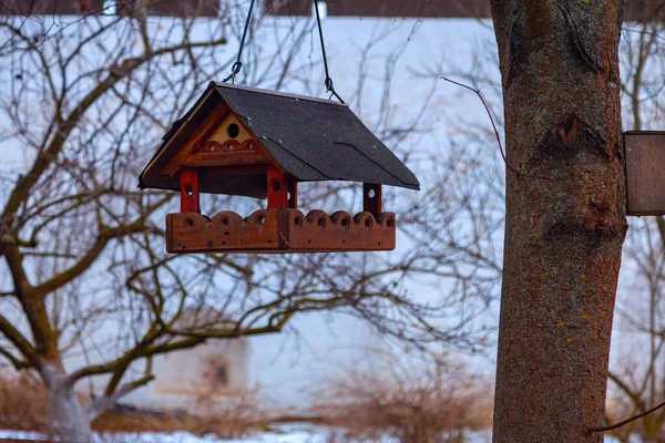 Una Casa Madera Alimentador Aves Colgando Una Rama Árbol — Foto de Stock