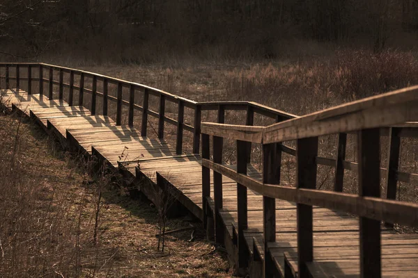 Foto Tonica Una Lunga Scala Vintage Legno Parco — Foto Stock