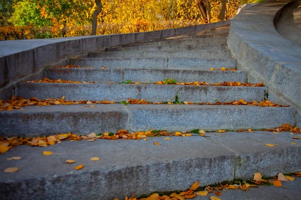 Curved Concrete Staircase Strewn Autumn Foliage — Stock Photo, Image