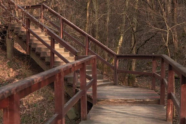 Старая Деревянная Лестница Перилами Природном Парке — стоковое фото