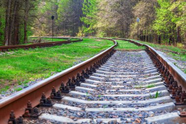 Ormandaki eski demiryolu rayları