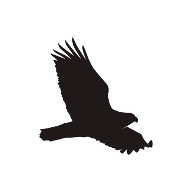 Kartal siluet vektör ayarlayın