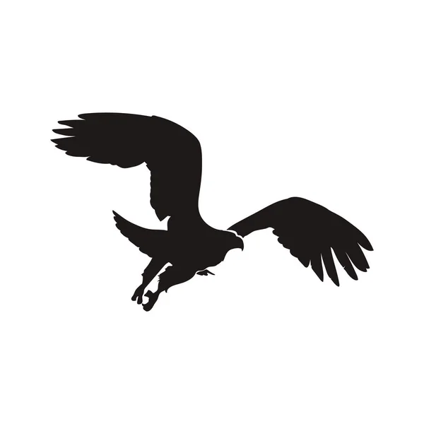 Ensemble Vectoriel Silhouette Aigle — Image vectorielle