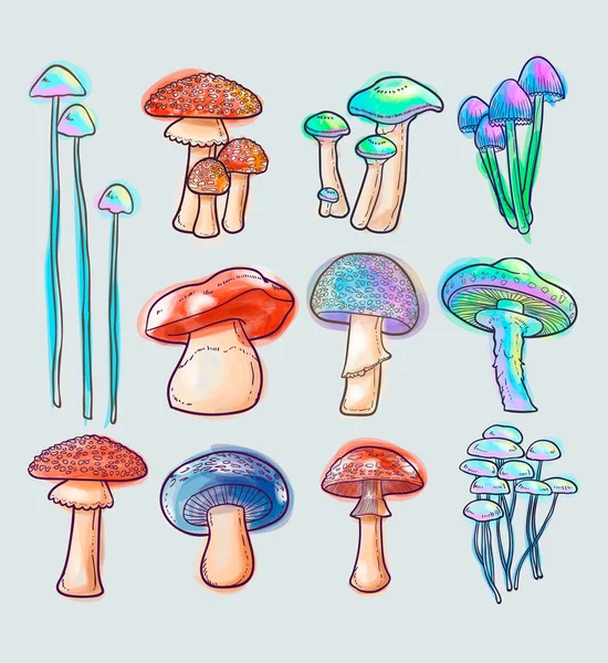 Mushroom Vector Set Collections — Stock Vector