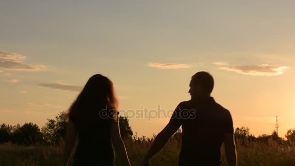 Beau couple amoureux tenant la main loin de la caméra. La vue de l'arrière . — Video