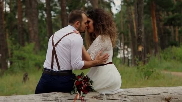 Роскошная счастливая невеста и стильный ухажер, сидящий на бревне в летнем лесу . — стоковое видео