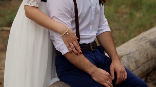 Sposa di lusso, in piedi per uno sposo elegante che lo abbraccia. Concetto: matrimonio boemo . — Video Stock