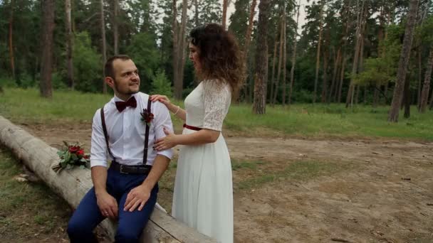 Feliz pareja joven en el bosque de verano. Un hombre se sienta sobre un viejo árbol caído, una joven mujer está a su lado. La cámara se mueve en un par de — Vídeos de Stock