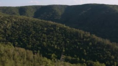 Yaz manzara dağ orman.