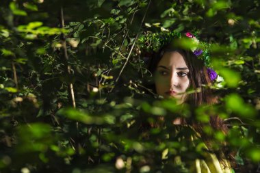 fantezi peri masalı orman