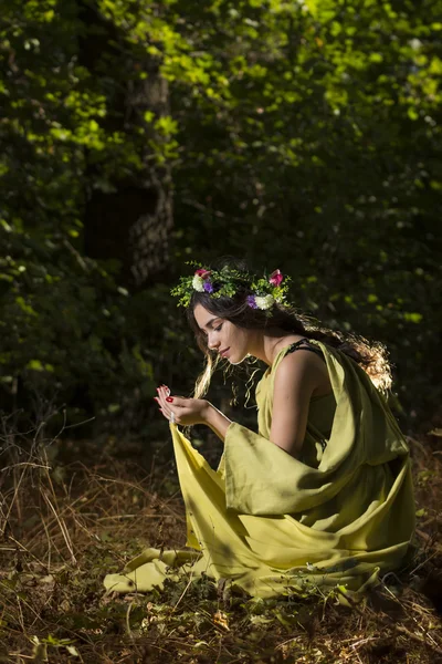 fantezi peri masalı orman 