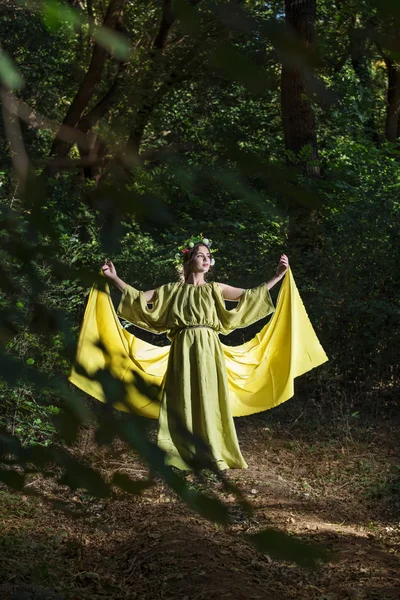 Fantasie sprookje bos — Stockfoto