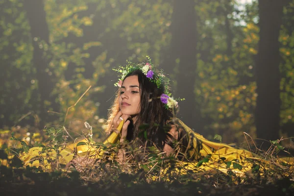 Beauty in the forest — Stock Photo, Image