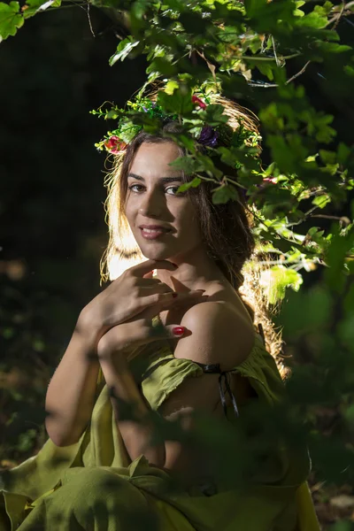 Belleza en el bosque — Foto de Stock