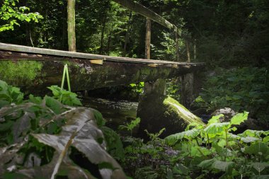 Bir günlük yapılan köprü