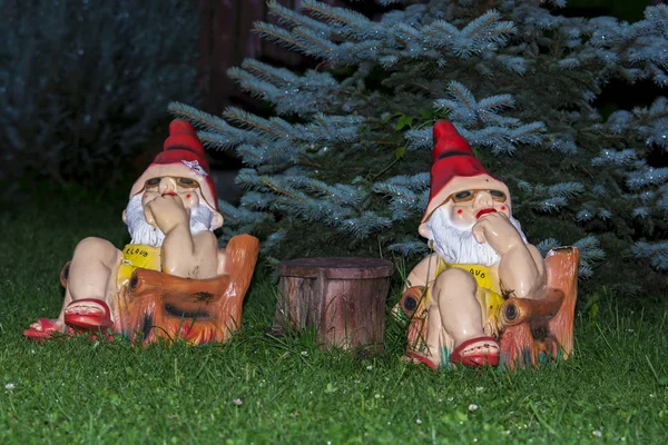 Garden gnomes  in garden
