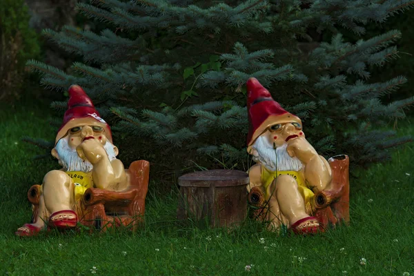 Garden gnomes in garden