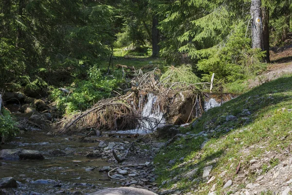 Río frío de montaña — Foto de Stock