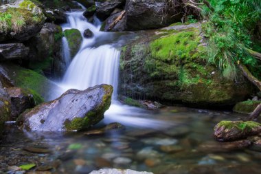 Romanya 'nın Karpat Dağlarındaki Dağ Nehrinde Şelale