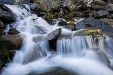 Romanya 'nın Karpat Dağlarındaki Dağ Nehrinde Şelale