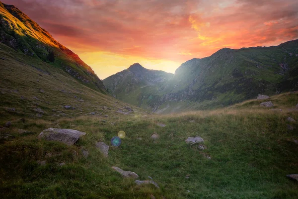 Vue Panoramique Sur Les Montagnes Des Carpates Roumanie Pendant Heure Images De Stock Libres De Droits