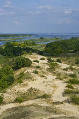 Dnipro nehir taşkın yatağının güzel manzara. Ukrayna