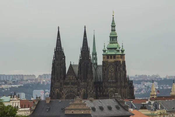 Собор Святых Вита Вацлава Адальберта Римско Католический Кафедральный Собор Праге — стоковое фото