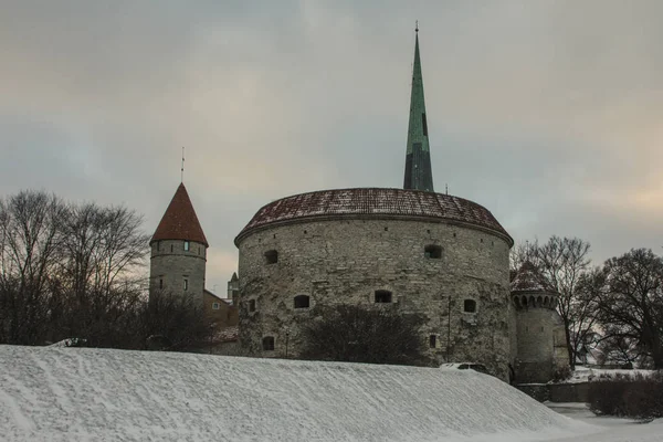 Вид Историческую Башню Названием Жирная Мария Зимним Утром Таллинне Эстония — стоковое фото