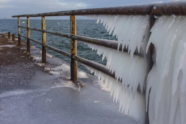 Φράχτες Καλύπτονται Ένα Στρώμα Πάγου Μια Προβλήτα Στο Ταλίν Μια — Φωτογραφία Αρχείου