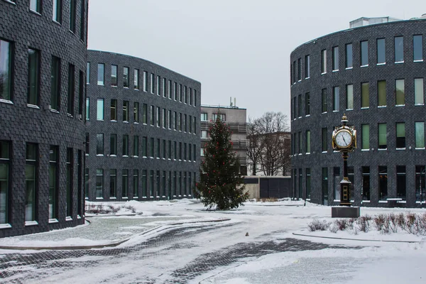 Árbol Navidad Plaza Entre Los Modernos Edificios Apartamentos Tallin Invierno — Foto de Stock