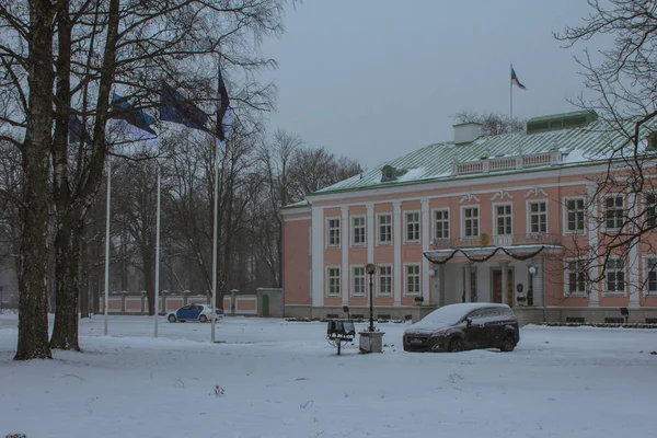 Gabinete Presidente República Estónia Durante Uma Queda Neve Tallinn — Fotografia de Stock