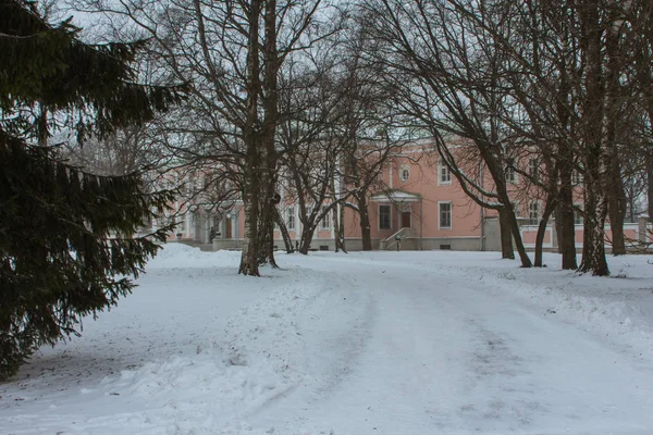 Kar Yağışı Sırasında Estonya Cumhurbaşkanlığı Ofisi Tallinn — Stok fotoğraf