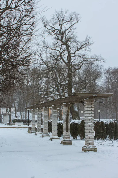 Колоннада Заснеженном Парке Таллинна Время Снегопада Эстония — стоковое фото