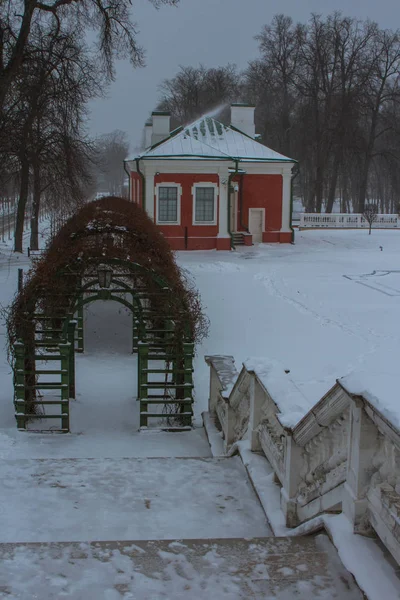 Снегопад Таллине Туннель Плюща Заснеженном Саду Эстония — стоковое фото